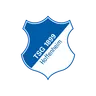 TSG Hoffenheim U20 Logo