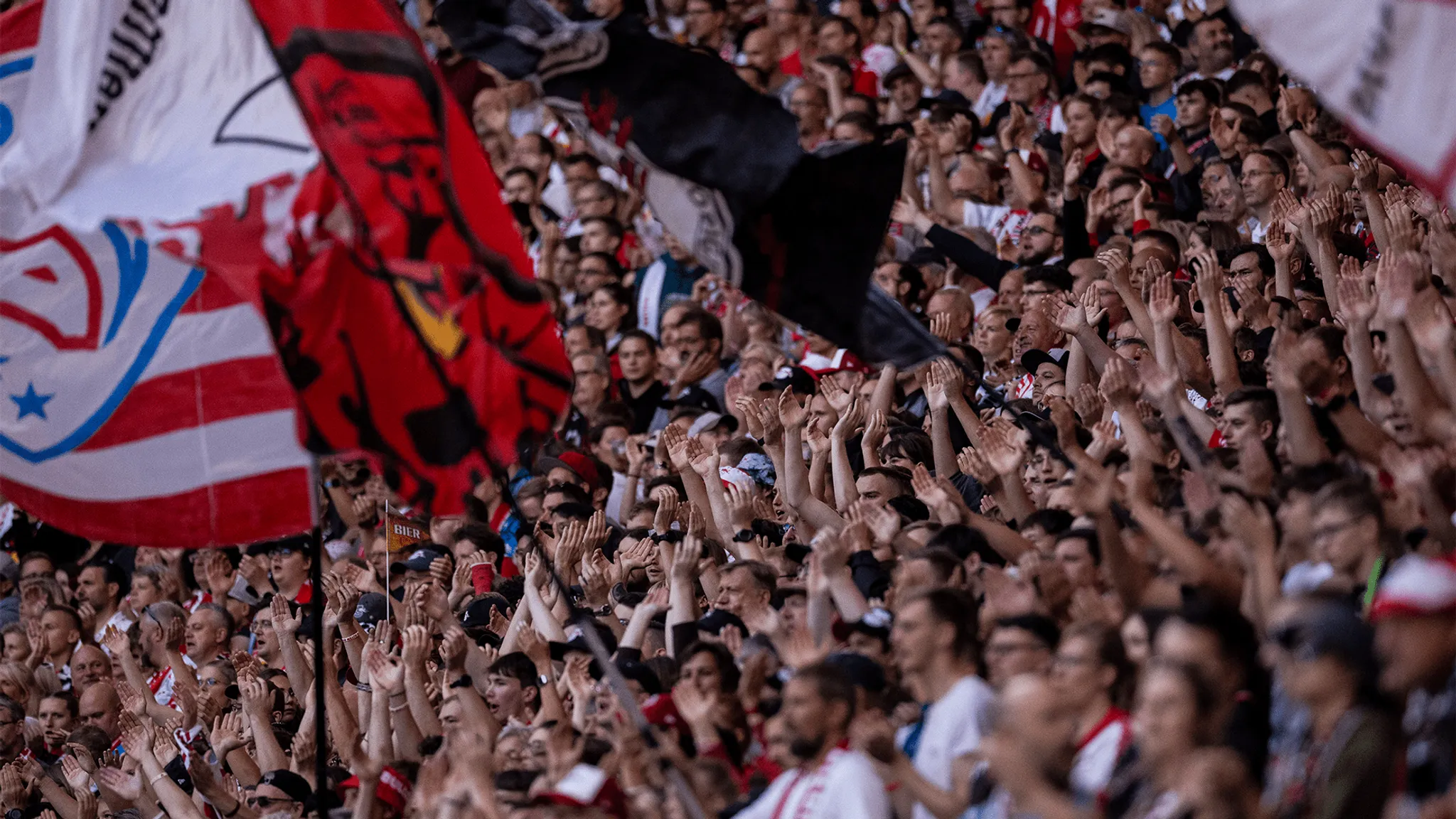 Fans at Red Bull Arena.